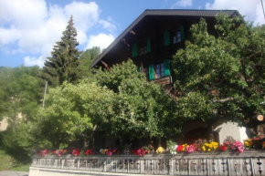Гостиница Bietschhorn, Киппель